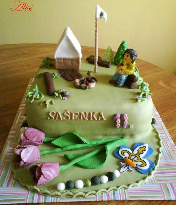 pre Sašenku - skautku, torta, Narodeninové torty pre Sašenku - skautku, torta, Narodeninové torty, Aliss, 1