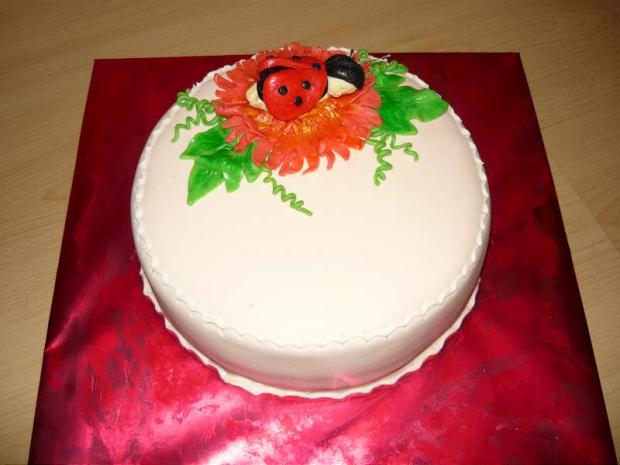 lienka , torta, Ostané torty pre deti lienka , torta, Ostané torty pre deti, severinka, 1