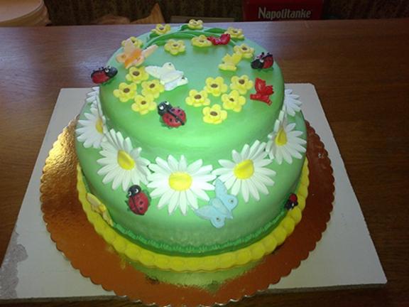 narodeninová pre Karin, torta, Narodeninové torty narodeninová pre Karin, torta, Narodeninové torty, RENATA M, 1