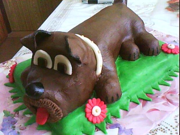 havušo, torta, Torty so zvieratkami, adenkah9, 1