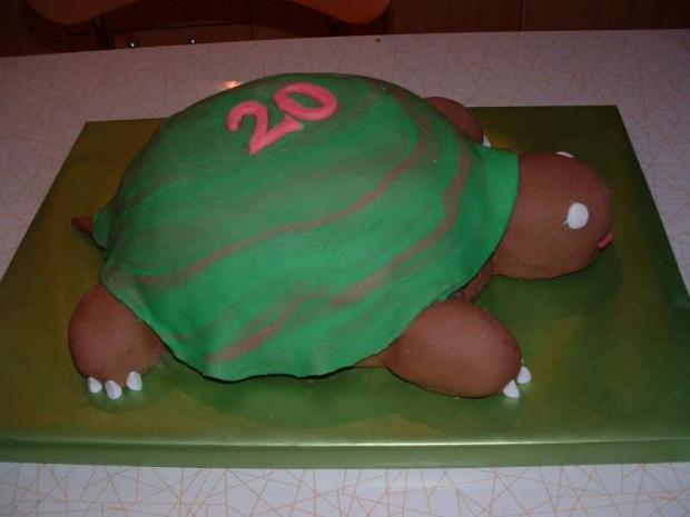 Korytnačka, torta, Torty so zvieratkami, dustinnescafe, 1