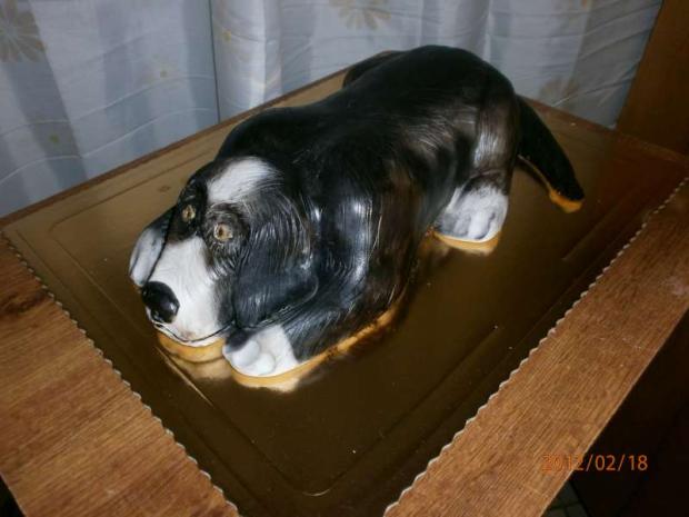psík, torta, Torty so zvieratkami psík, torta, Torty so zvieratkami, andrea.d, 1