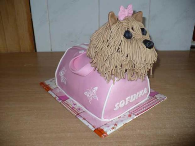 havko v taške, torta, Netradičné torty havko v taške, torta, Netradičné torty, ivča, 1