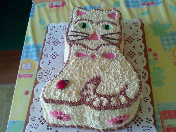 mačka, torta, Torty so zvieratkami mačka, torta, Torty so zvieratkami, zabacka, 1