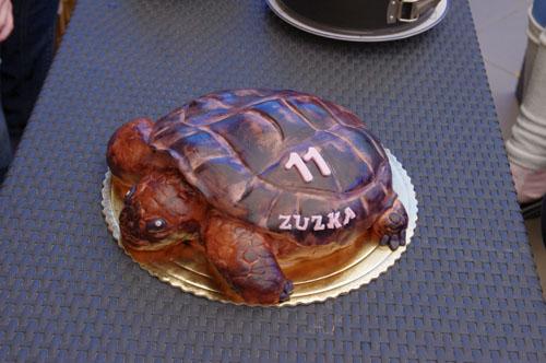 Korytnačka, torta, Torty so zvieratkami Korytnačka, torta, Torty so zvieratkami, alioska, 1