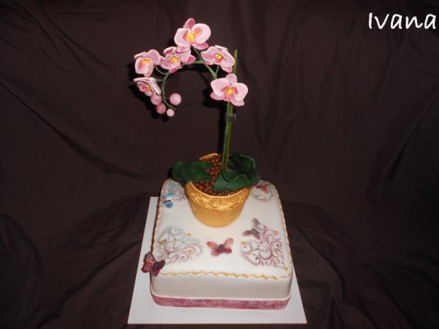 Orchidea, torta, Narodeninové torty Orchidea, torta, Narodeninové torty, Ivana111111, 1