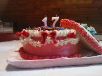 narodeninová 17 rokov, torta, Narodeninové torty, Miriam Vetrakova, 1