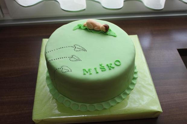 krstinova pre Miška, torta, Torty na krstiny, lenkat, 1