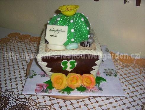 Pro milovníka kaktusů, torta, Zdenka Rajnochova, 1