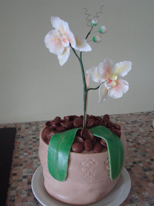 orchidea v kvetinaci, torta, Narodeninové torty, denisa.rr, 1