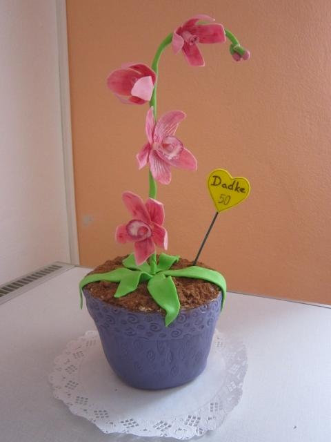 Orchidea, torta, Narodeninové torty, Lucka148, 1