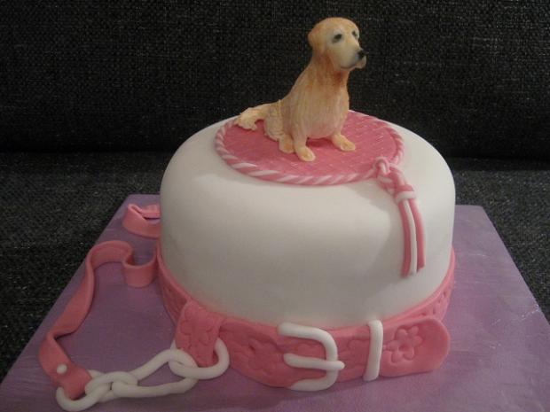 S pejskem, torta, Ostané torty pre deti S pejskem, torta, Ostané torty pre deti, monceb, 1