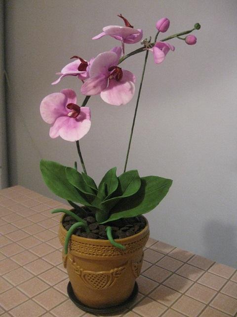 Orchidej, torta, Narodeninové torty Orchidej, torta, Narodeninové torty, monceb, 1