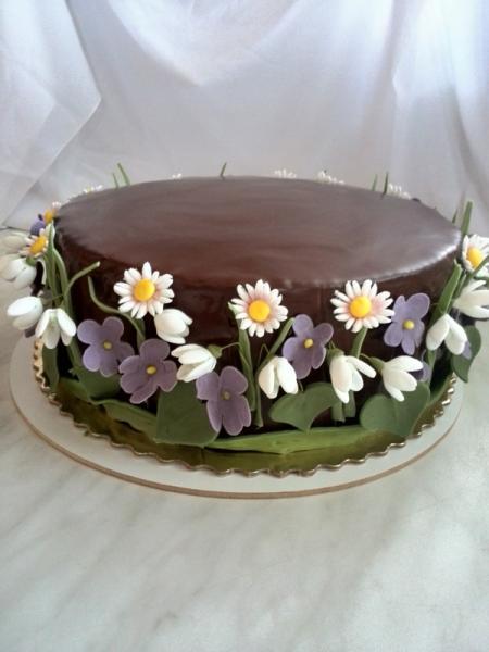Jarná čokoládová, torta, Narodeninové torty Jarná čokoládová, torta, Narodeninové torty, samporka, 1