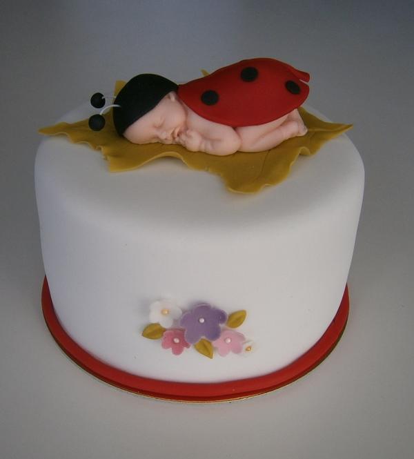 Minitortička - lienka, torta, Narodeninové torty Minitortička - lienka, torta, Narodeninové torty, KatkaRF, 1