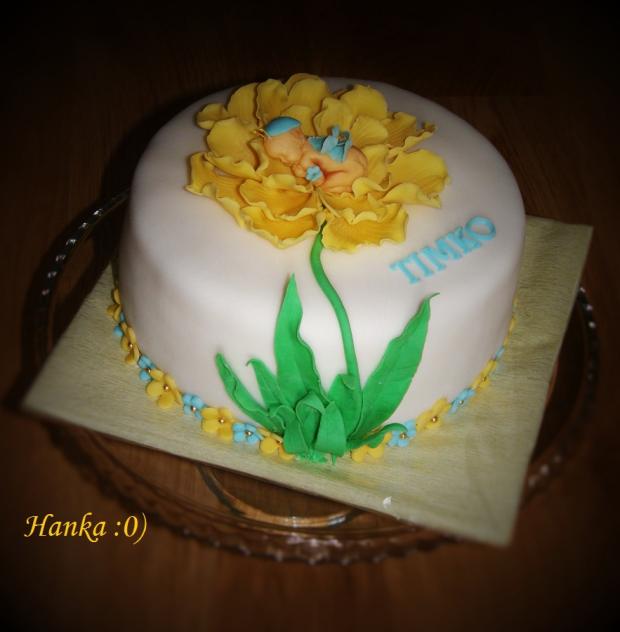 Bábätko v kvetinke, torta, Ostané torty pre deti Bábätko v kvetinke, torta, Ostané torty pre deti, selinnka, 1