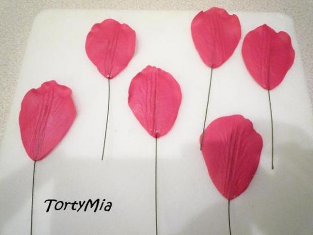 Tulipán, návod, Kvety, TortyMia, 4