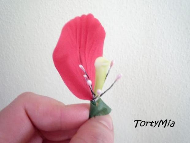 Tulipán, návod, Kvety, TortyMia, 6