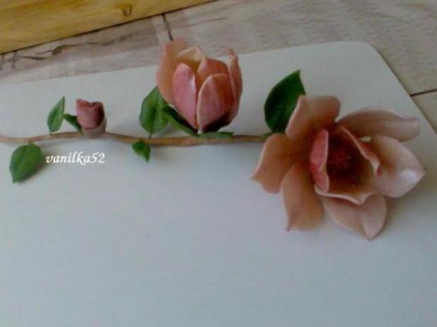 magnolia/moja prva myslim že môže byť., návod, Kvety, vanilka52