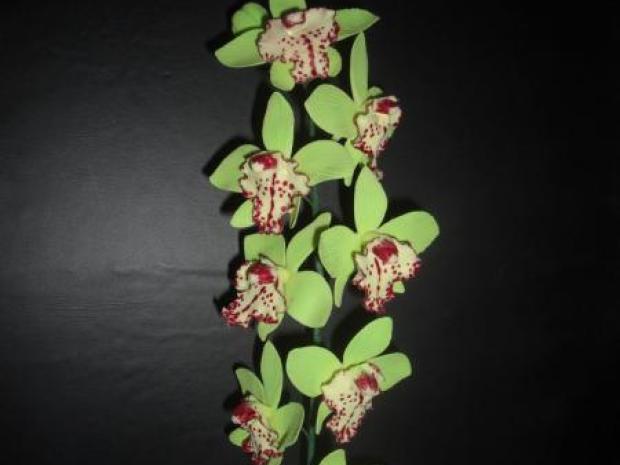 malá orchidea, návod, Kvety, JarmilaM