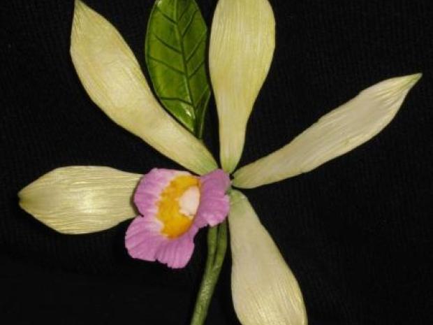 Vanila Orchid, návod, Kvety, Vearginia