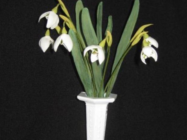 Snowdrops (Snezenky), návod, Kvety, Vearginia