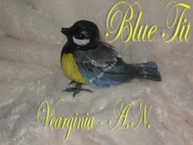 Sykorka  ( Blue Tit ), návod, Figúrky, Vearginia