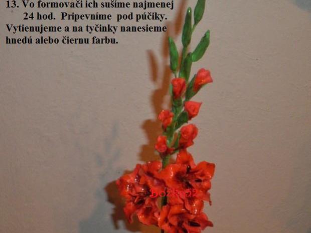 Gladiola, návod, Kvety, bozka52
