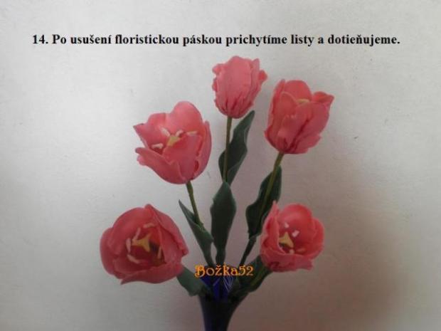 Tulipán, návod, Kvety, bozka52