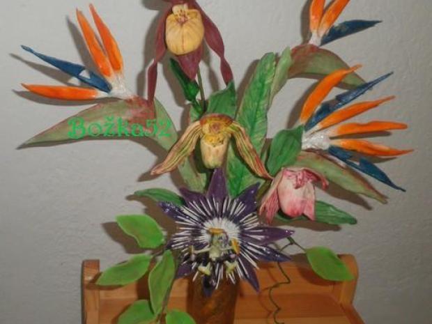 Mučenka - Passionflower, návod, Kvety, bozka52