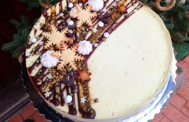 Pistáciový cheesecake, Recepty na zákusky, kika898
